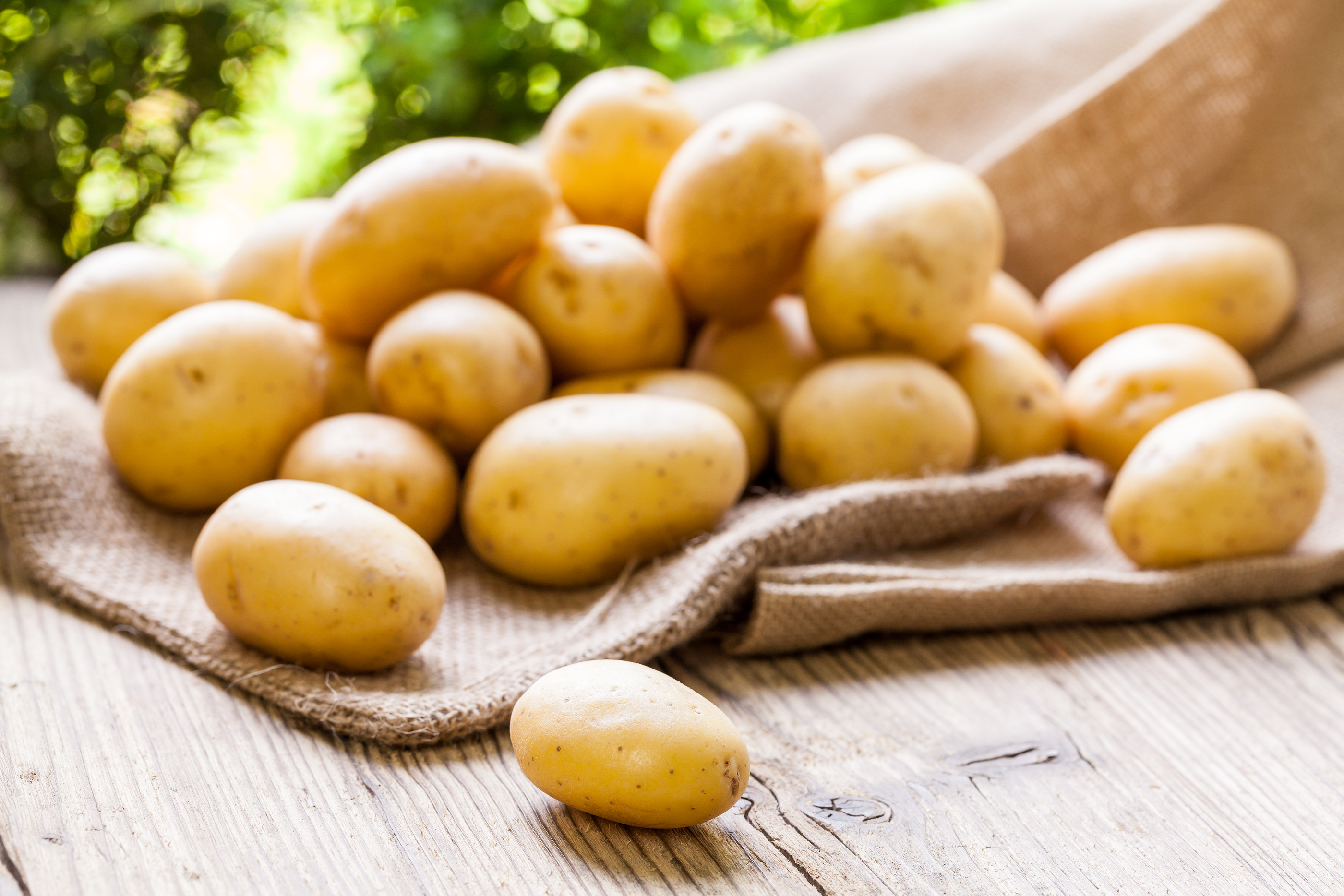 The Phenomenal Potato - Fill Your Plate Blog