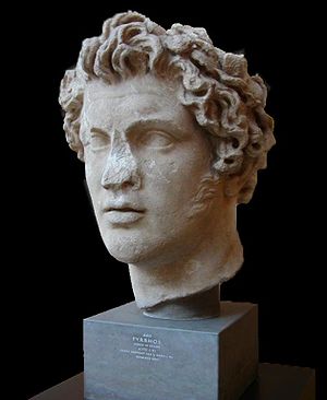 Marble bust of Pyrrhus of Epirus - Ny Carlsber...