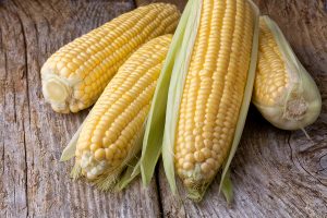 Arizona sweet corn