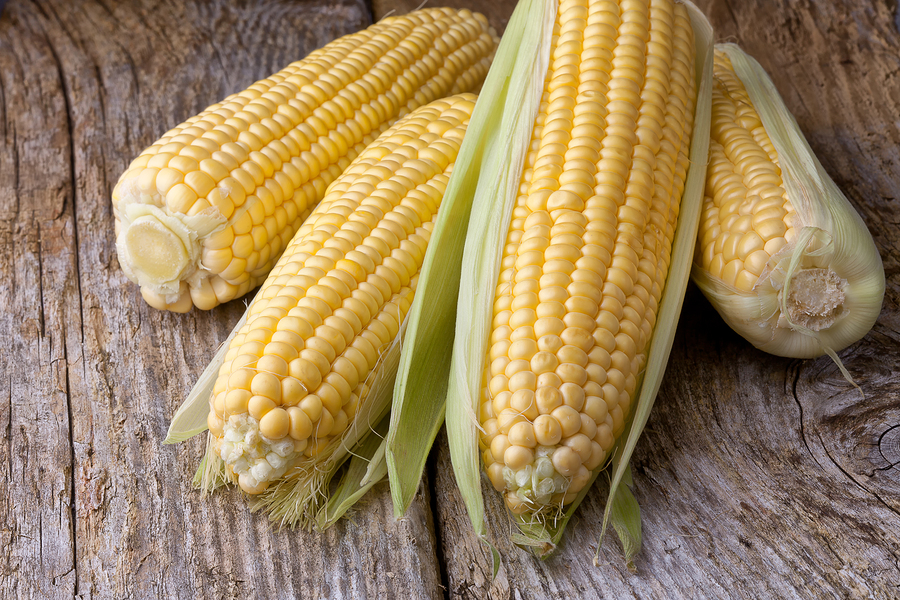 Celebrate Arizona Sweet Corn this Summer!