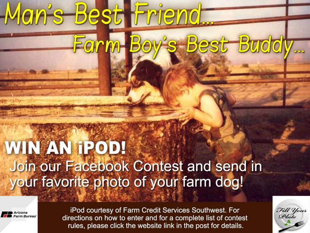 Farm Dog Contest