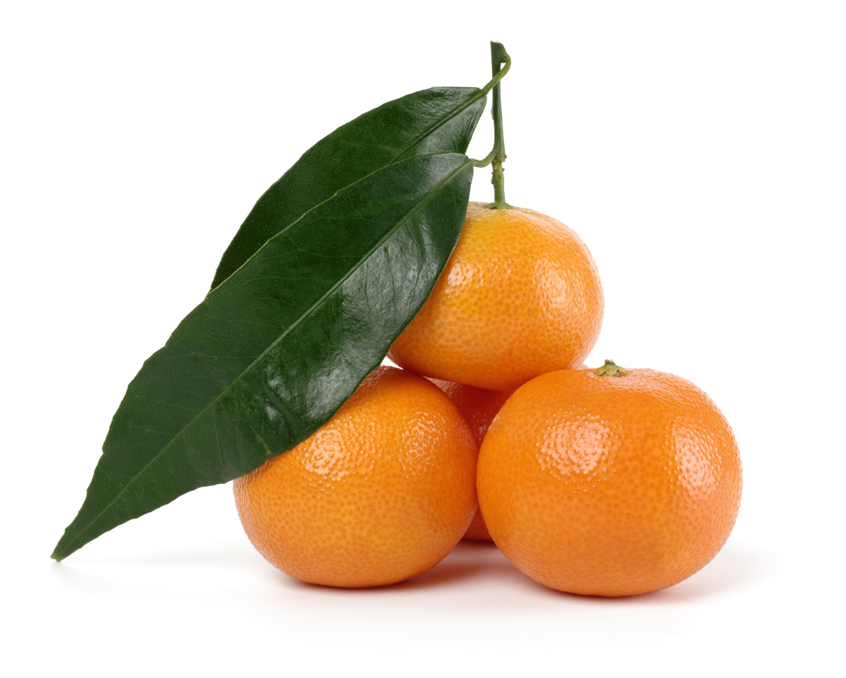 Small heap of ripe mandarins, isolated over white