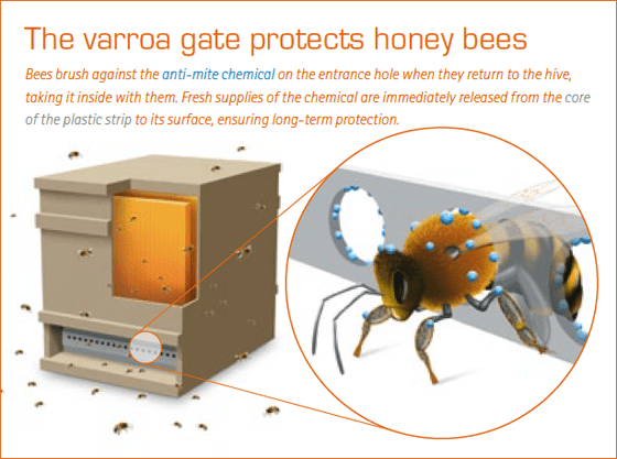 apidez Beekeeping Apides Prevention  Treatment  Varroatosis in Bees 100 Strips