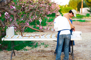 Chef Eddie Matney and his team, preparing for dinner
