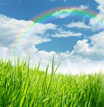rainbow