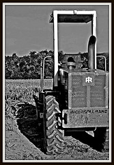 american harvest
