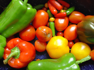 Fresh vegetables are important components of a... Fresh vegetables are important components of a...