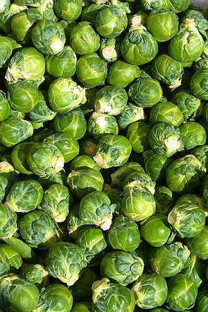 Brussels Sprouts Brussels Sprouts