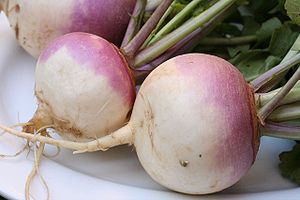 English: Turnips (Brassica rapa) Français : Na... English: Turnips (Brassica rapa) Français : Na...