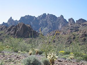 English: Kofa Mountains, southwestern Arizona English: Kofa Mountains, southwestern Arizona