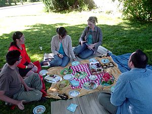A picnic in Toronto, Canada A picnic in Toronto, Canada
