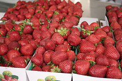 Farmers Market Farmers Market