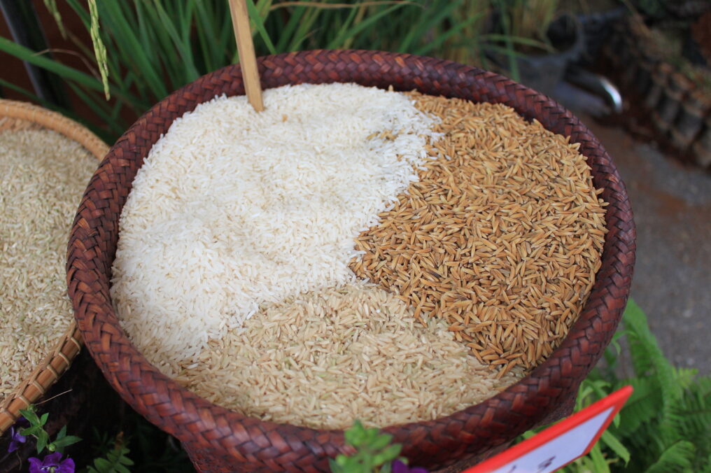 7 Best Rice Varieties According to a Dietician