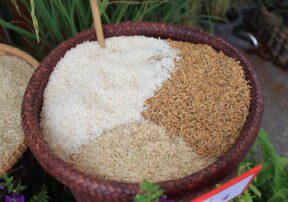 7 Best Rice Varieties According to a Dietician