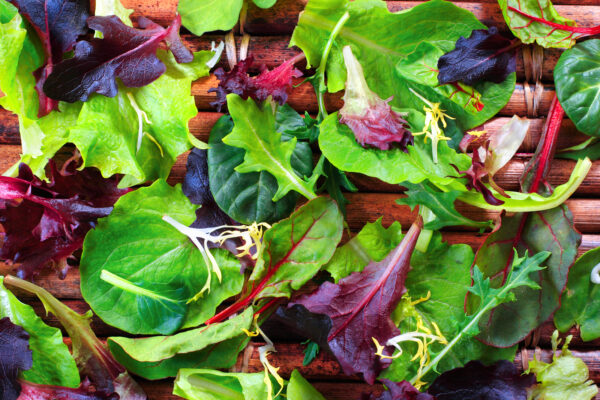 Yuma Produces 90% of Our Leafy Greens in Winter
