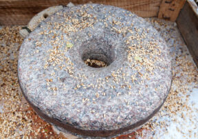 Buckwheat – A Nutritious Gluten Free Food!