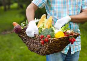 There’s More to Boosting Immunity Than Vitamin C Packets