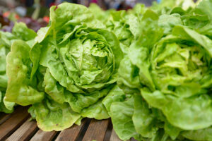 lettuce Arizona