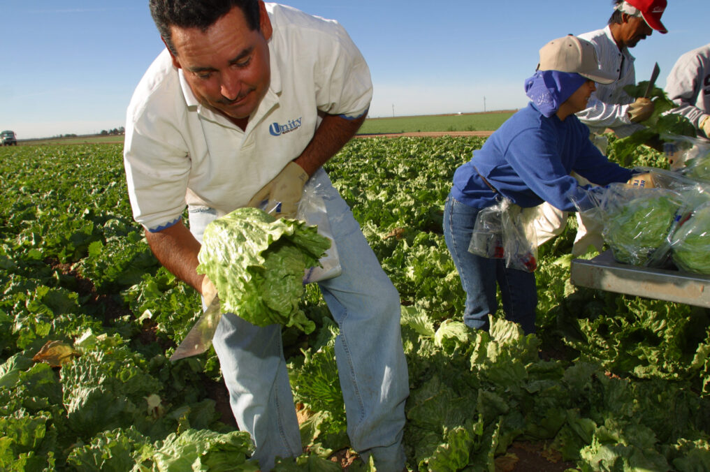 Looking Forward: Green is the Color of Food Trends in Arizona for 2015