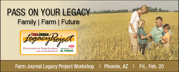 phoenix workshop