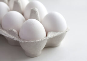 Collection of Fill Your Plate’s Articles on Eggs!