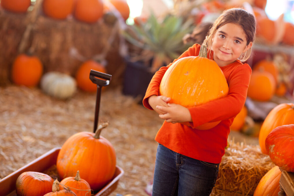 It’s Pumpkin Season!
