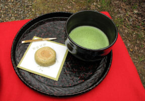 The Scoop on Matcha!