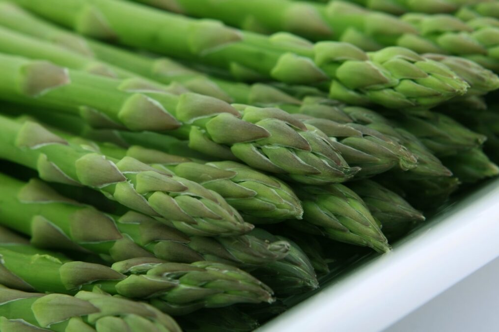 The Nutritional Powerhouse Grown in Arizona Agriculture: Why Asparagus is a Star Crop