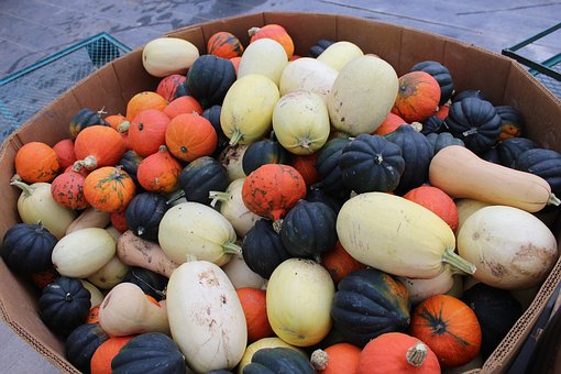Move Over Pumpkins! 8 Other Squash Varieties to Try This Fall