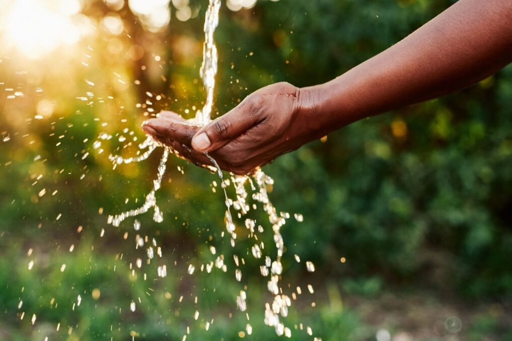Arizona Agriculture Uses Water Wisely