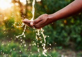 Electrolytes – What They are and Why We Need Them