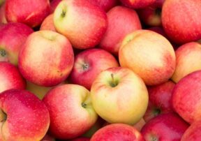 Homemade Apple Cider