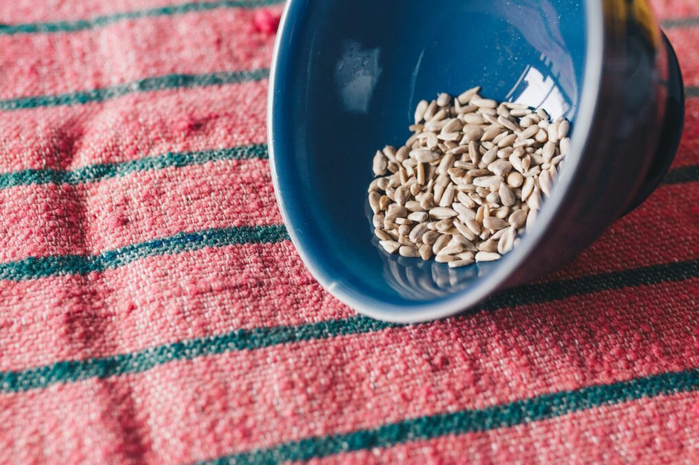 Tiny But Mighty Sunflower Seeds!