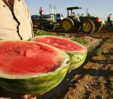 Facts on Fruits and Vegetables