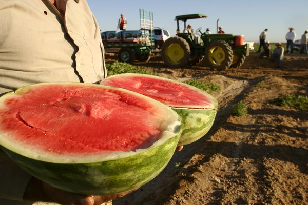 Facts on Fruits and Vegetables