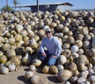 Facts on All the Crops We Grow