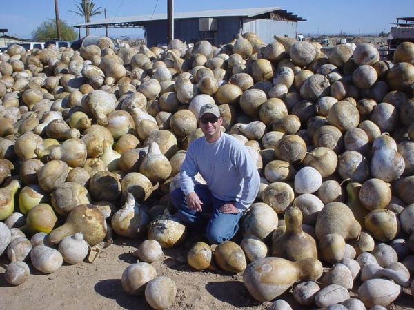 Facts on All the Crops We Grow