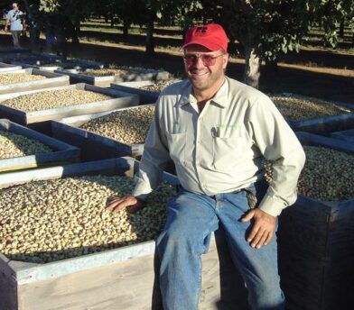 Facts on Pistachios