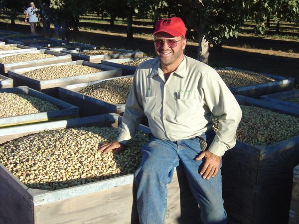 Facts on Pistachios