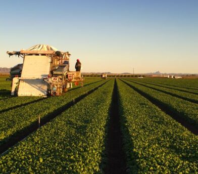 Facts on Preharvest Intervals