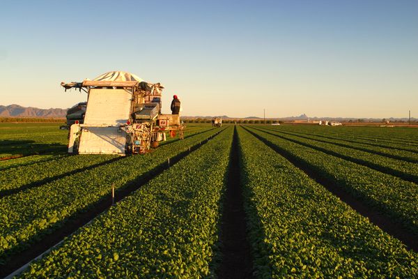 Facts on Preharvest Intervals