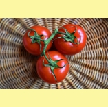 Avocado and Tomato Salad