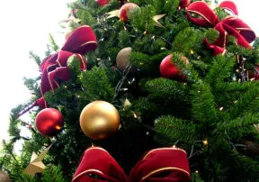 Christmas Tree Farmers: A Giving Lot
