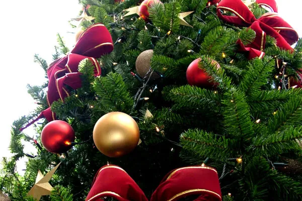 Christmas Tree Farmers: A Giving Lot