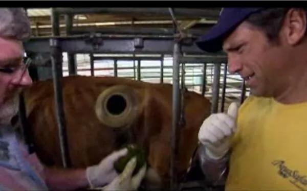 What’s the Dirtiest Job on Your Farm? Video Contest hosted by the American Farm Bureau Federation.