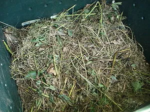 Materials in a compost bin.