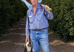Arizona Agriculture: A Snapshot