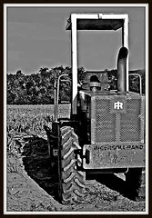 american harvest