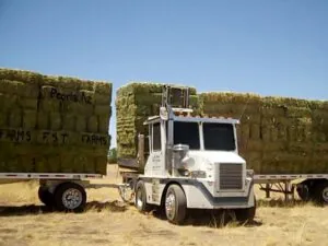 Large Hay delivery