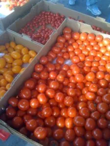 Fresh tomatoes at Gilbert Farmer's Market